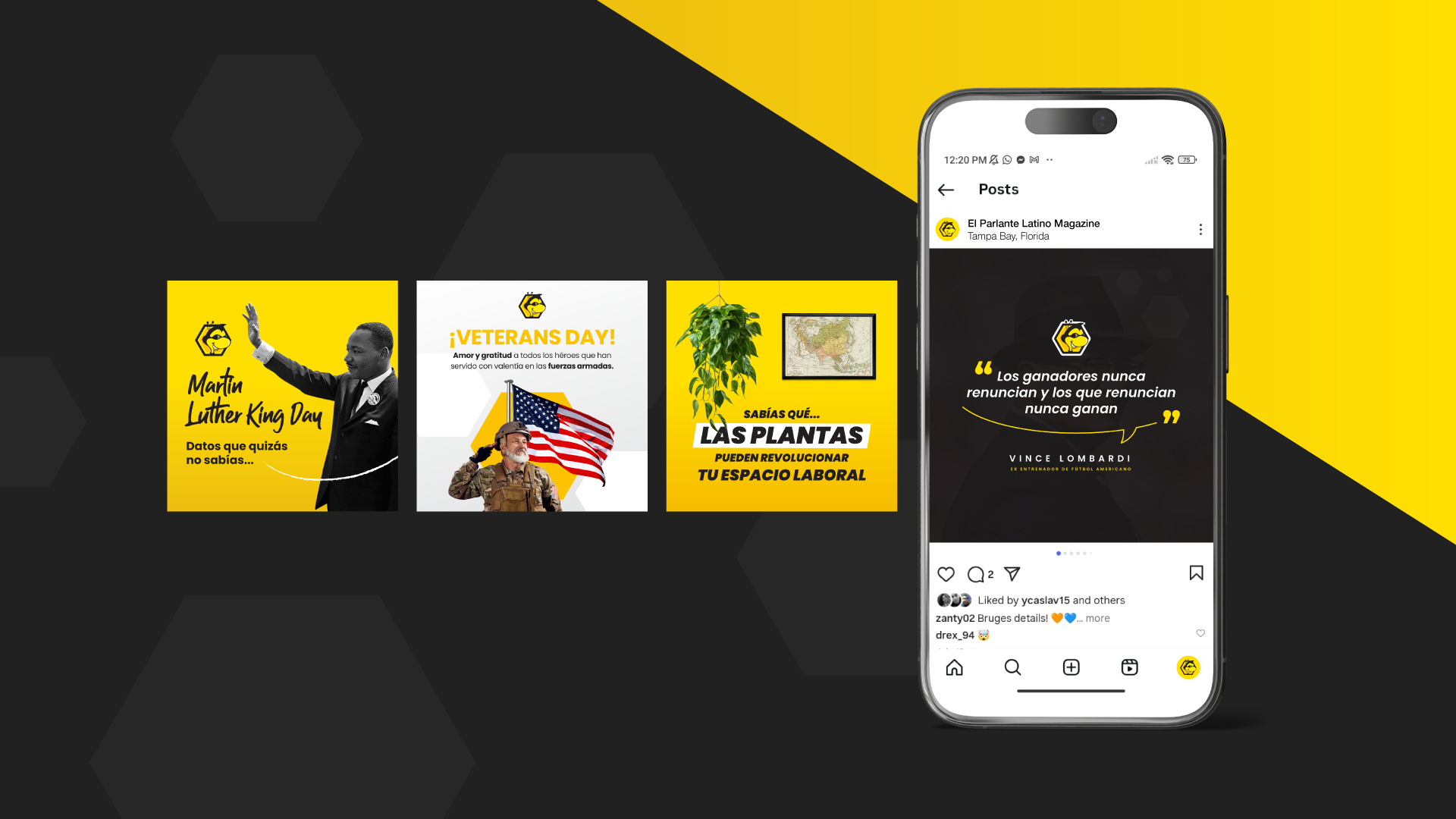 Vista adicional del proyecto EPL